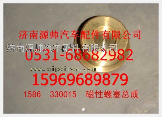 重汽豪沃磁性螺塞总成1586330015图1