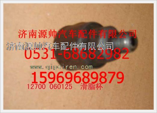 12700 060125,重汽豪沃滑脂杯12700 060125,济南源帅汽车配件有限公司