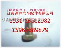 重汽豪沃六角头螺栓190003802411