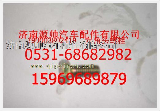 重汽豪沃六角头螺栓190003802419图1