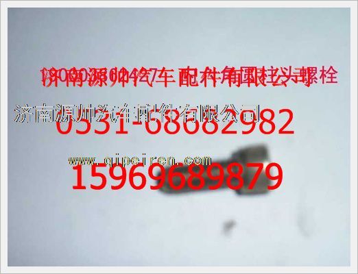 190003862427,重汽豪沃内六角圆柱头螺钉190003862427,济南源帅汽车配件有限公司