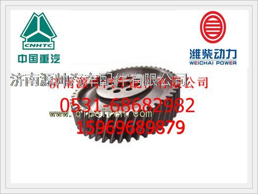 潍柴WD615发动机 Z=50中间齿轮总成61560050053/61560050053