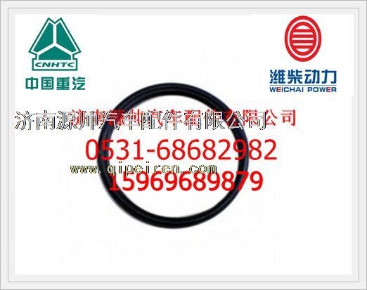 潍柴WD615密封垫圈90003098010图1