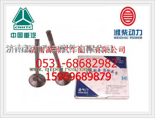 潍柴WD615斯太尔进气门612600050073/612600050073