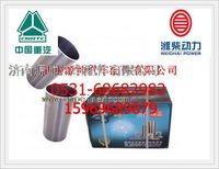 潍柴WP10发动机气缸套612600010015