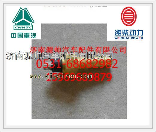 612600090358,潍柴WP10发动机水温表传感器612600090358,济南源帅汽车配件有限公司