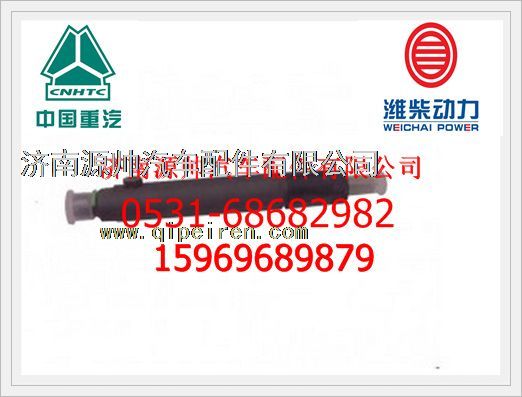 潍柴喷油器总成61560080276图1