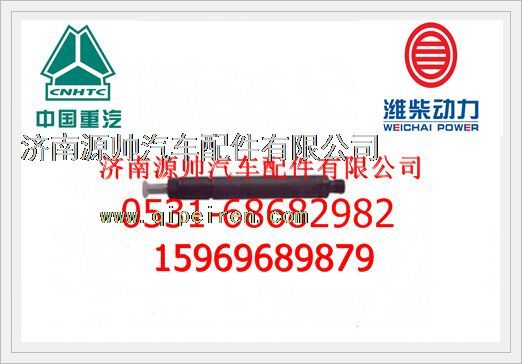 重汽WP12发动机喷油器总成612630090012图1