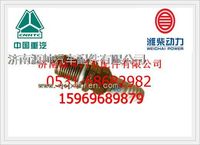 重汽WT615天然气发动机火花塞VG1560080701