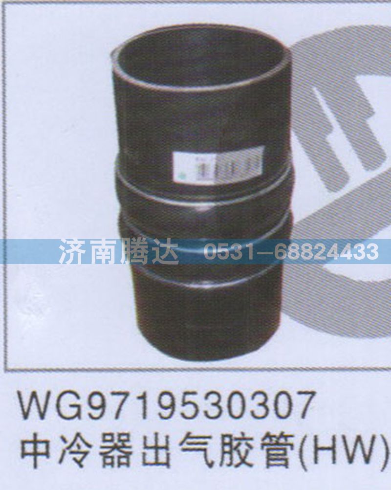 WG9719530307中冷器出气胶管HW图1