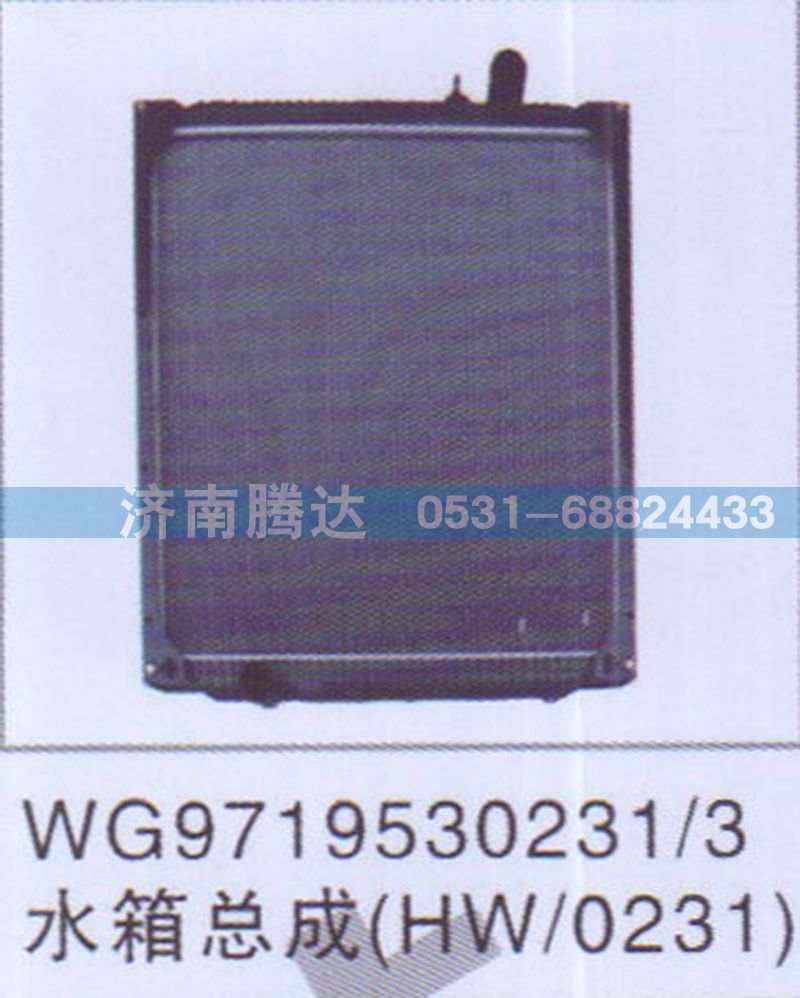 WG9719530231-3水箱总成HW0231图1
