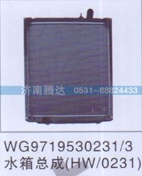 WG9719530231,WG9719530231-3水箱总成HW0231,济南锦阳汽配有限公司（原腾达）
