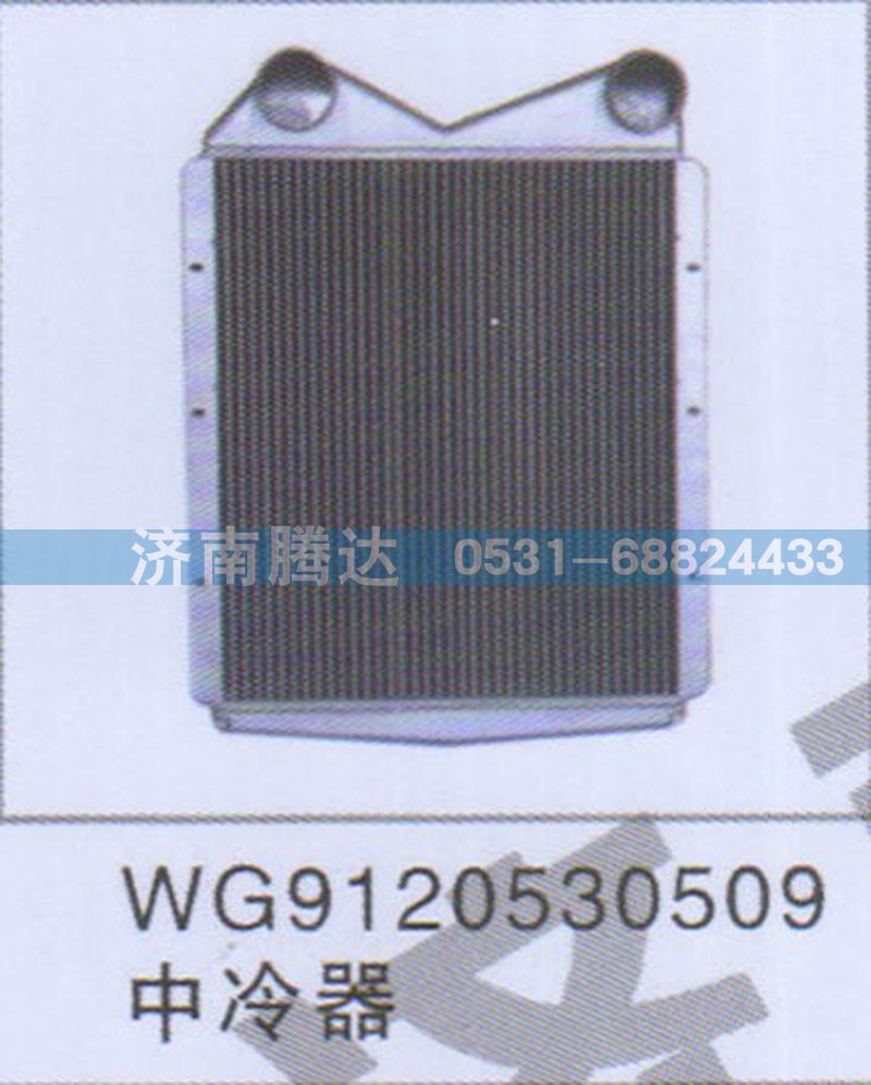 WG9120530509,WG9120530509中冷器,济南锦阳汽配有限公司（原腾达）