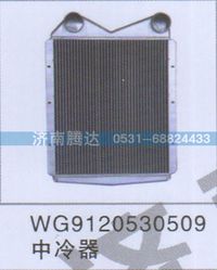 WG9120530509,WG9120530509中冷器,济南锦阳汽配有限公司（原腾达）