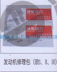 无,发动机修理包欧I、II、III,济南锦阳汽配有限公司（原腾达）