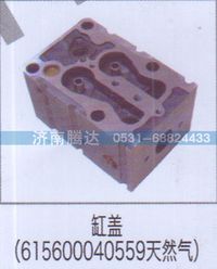 615600040559,缸盖（615600040559天然气）,济南锦阳汽配有限公司（原腾达）
