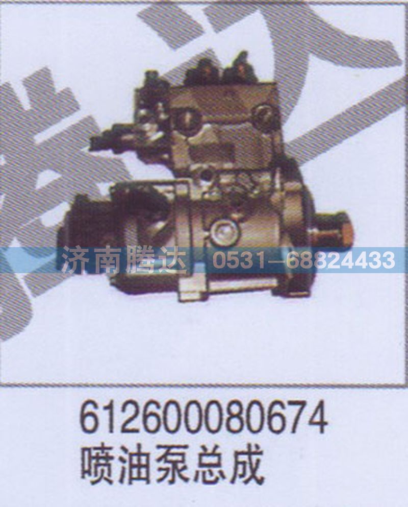 612600080674喷油泵总成图1