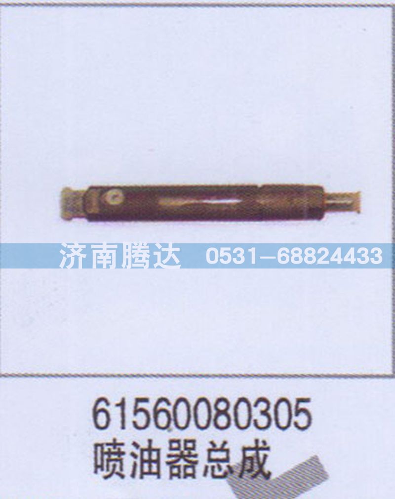 61560080305喷油器总成图1