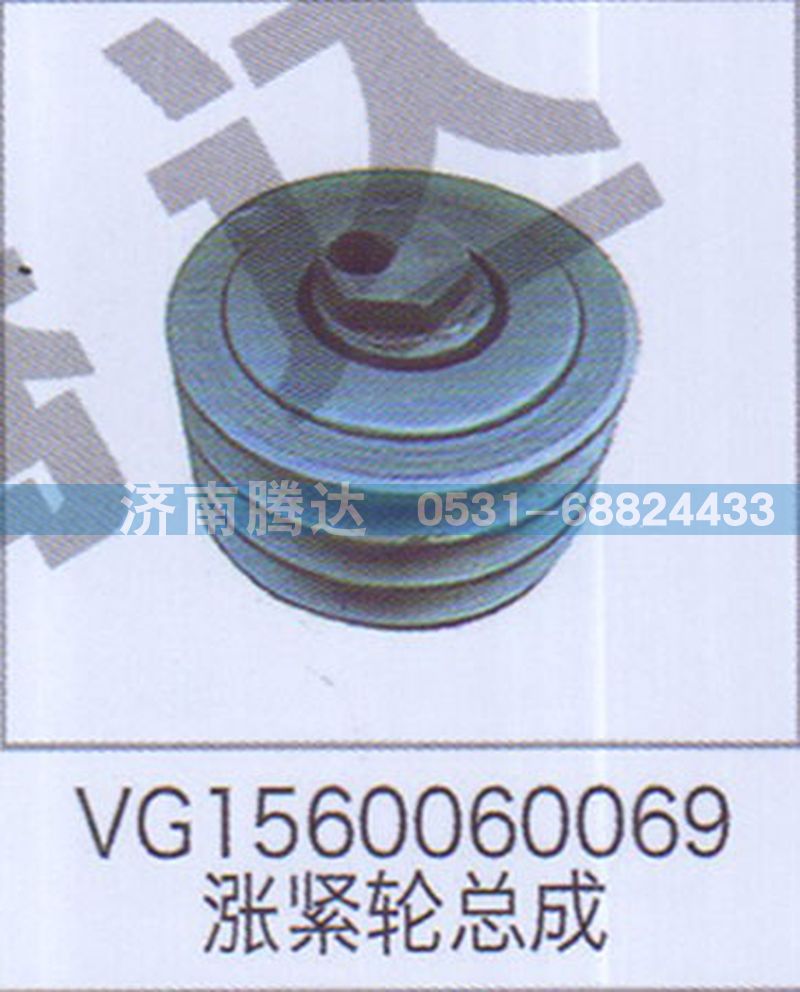 VG1560060069涨紧轮总成图1