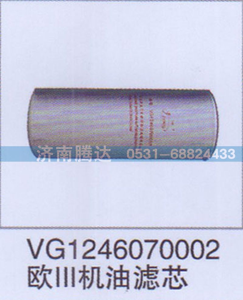 VG1246070002欧III机油滤芯图1