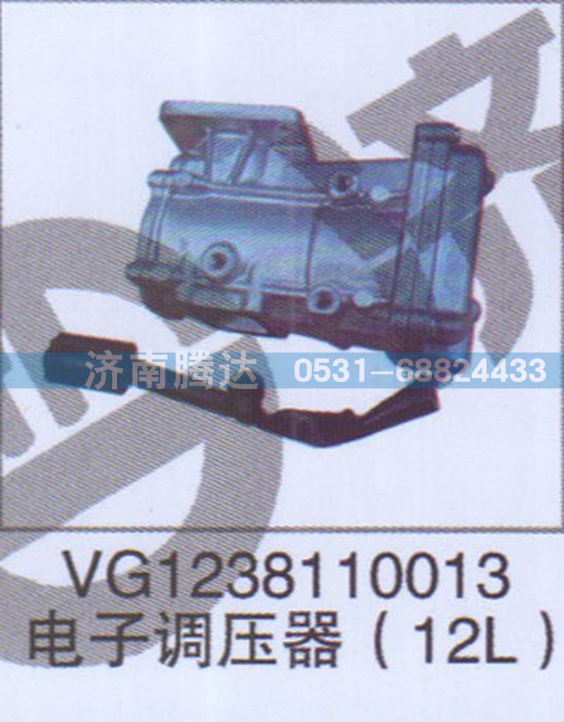 VG1238110013电子调压器12L图1