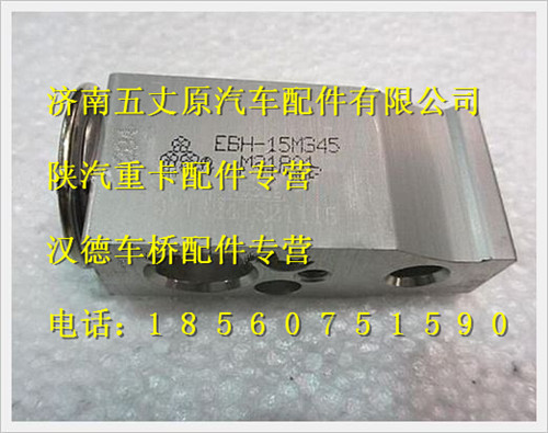 陜汽德龍F2000膨脹閥/DZ13241821115