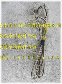 陜汽德龍F(tuán)3000ABS掛車(chē)駕駛室線束