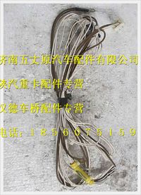 陜汽德龍F(tuán)3000ABS駕駛室電線束