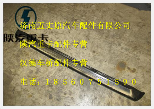 陜汽德龍F3000格柵中/DZ13241110013