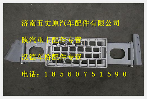 陜汽德龍F(tuán)3000住鋁鉸鏈?zhǔn)接蚁屡_(tái)階總成/DZ13241240940