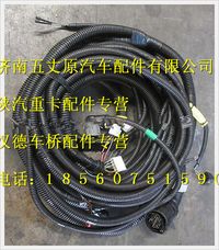 陕汽德龙M3000车架线束