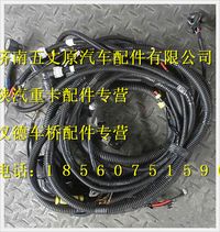 陜汽德龍M3000發(fā)動機(jī)、變速器底盤電線束