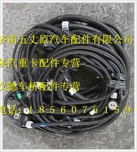 陜汽德龍M3000發(fā)動(dòng)機(jī)、變速器底盤線束