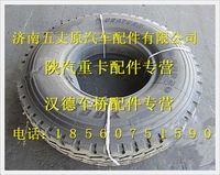 陕汽德龙奥龙轮胎总成