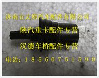 陕汽德龙奥龙门灯开关