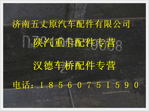 陕汽德龙奥龙前二片/PDZ910052900802