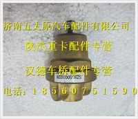 陕汽德龙低温降压调压阀