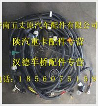 陕汽德龙底盘线束(二)