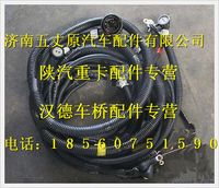 陕汽德龙底盘线束(二)