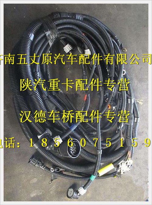 陜汽德龍發動機、變速器電線束/DZ93189774911