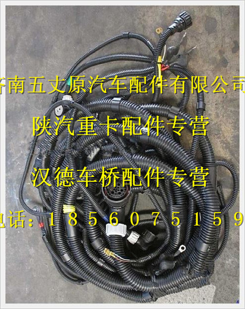 陜汽德龍發動機、變速器電線束/DZ95259774911