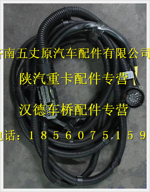 陜汽德龍發(fā)動機底盤電線束/DZ93319774562