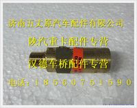 陕汽德龙副安全阀（REGO)