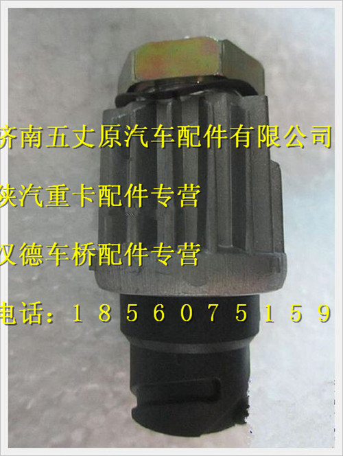 DZ93189583150,,济南五丈原汽车配件有限公司（原奥隆威）