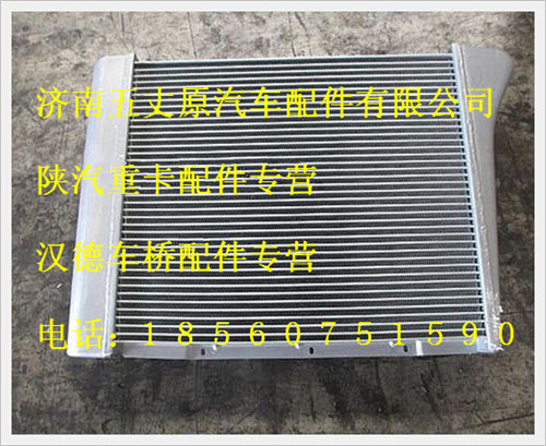 陕汽德龙中冷器总成/DZ91259531101