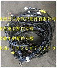 陕汽德龙轴距3175后悬725底盘线束