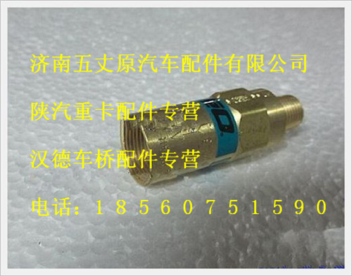 陕汽德龙主安全阀（REGO)/WG10000004