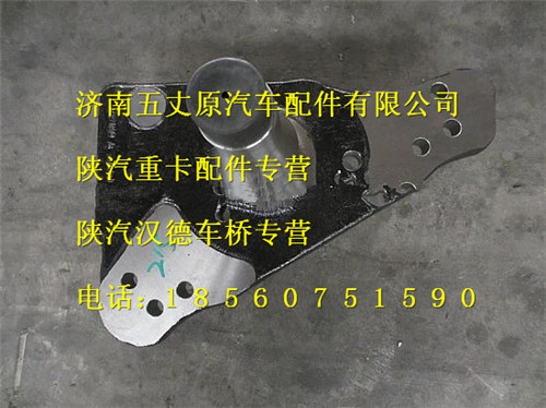 陜汽德龍F(tuán)3000碟剎轉(zhuǎn)向節(jié)/DZ9100410215