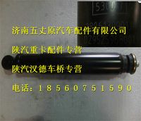 陜汽德龍F3000減振器總成