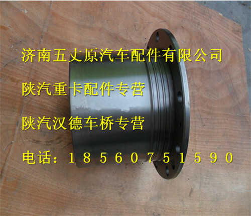 陕汽德龙F3000轮边减速器总成图1